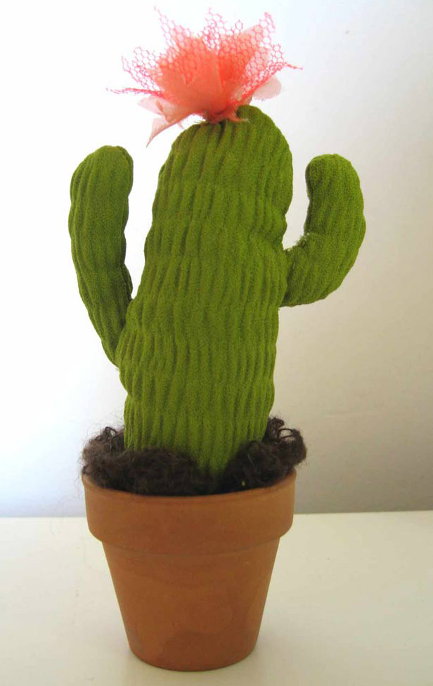 top-cactus