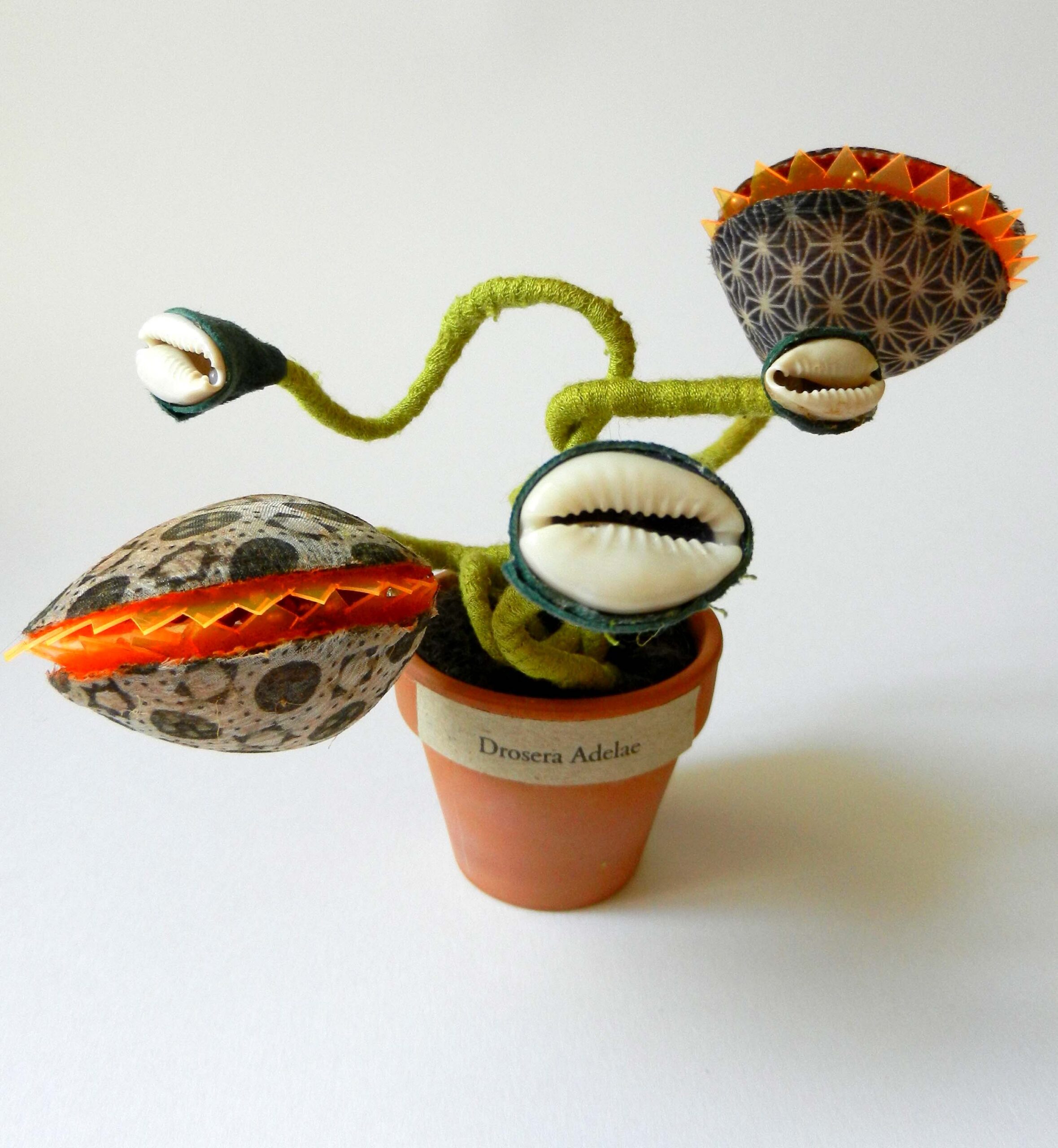2014 – Plantouzes