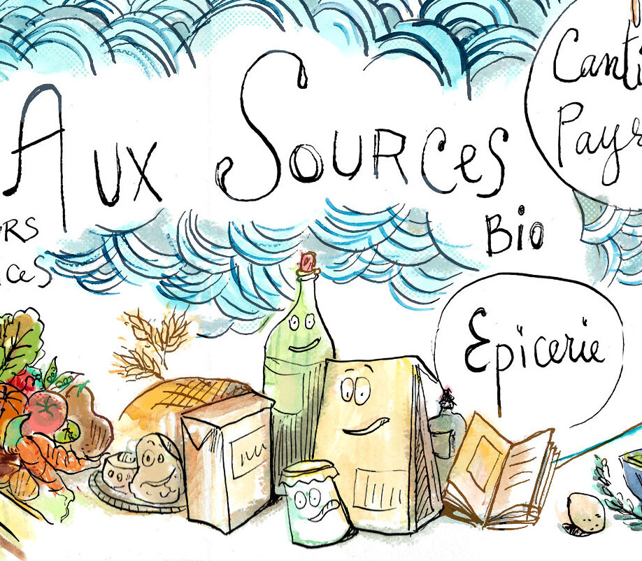 2025 – Recherches illustrées : nouvelle charte graphique du magasin de producteur/trices « Aux Sources ».